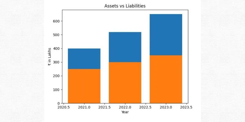 BORANA WEAVES  FINANCIAL AND BUSINESS ANALYSIS REPORT